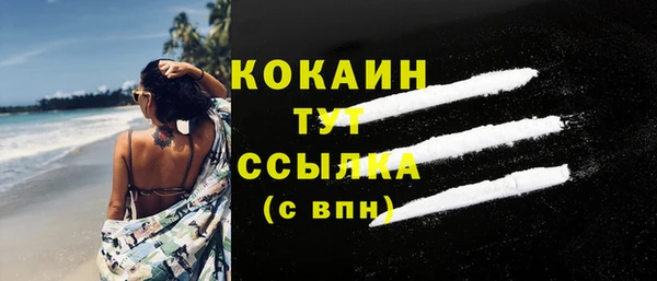 шишки Майский