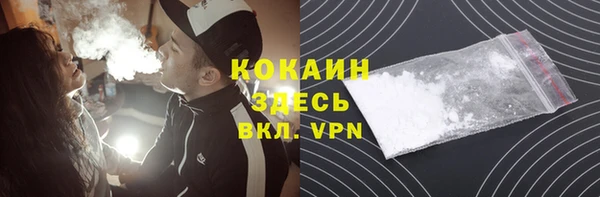 шишки Майский
