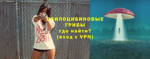 шишки Майский