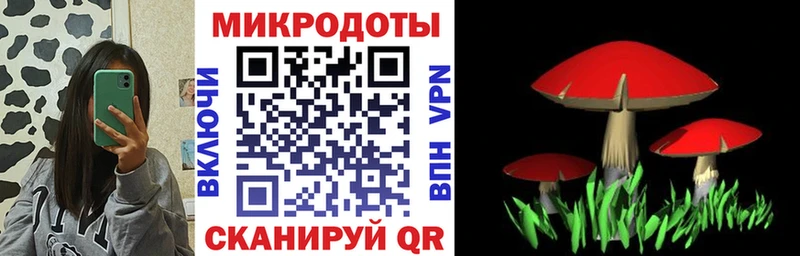 Галлюциногенные грибы ЛСД Дрезна